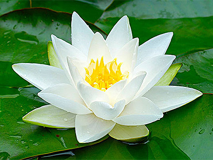 www.tl1002.com
