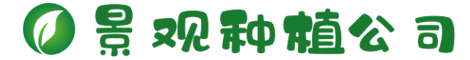www.tl1002.com